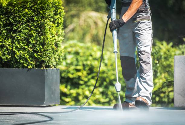 Best Gutter Cleaning  in Gridley, CA