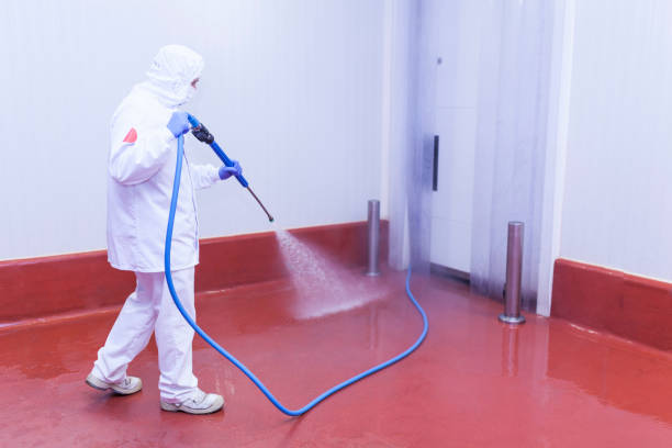 Boat and Dock Cleaning in Gridley, CA